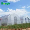 /product-detail/low-cost-200-micron-pe-film-tunnel-tropical-greenhouse-used-for-sale-for-growing-cucumber-tomato-strawberry-leafy-vegetable-60837708978.html