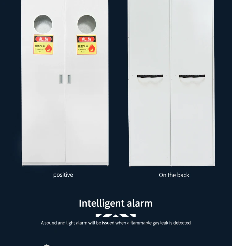 Hot Sale All Steel Gas Cylinder Cabinet for Laboratory Lab Furniture/