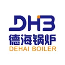 dehaiboiler