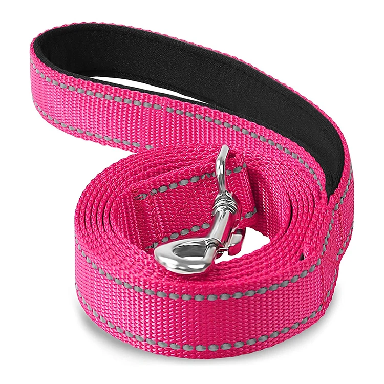 Personalized Pet Products Medium Large Dog Products Braided Nylon Pet Dog Leash, Customized color
Personalized Pet Products Medium Large Dog Products Braided Nylon Pet Dog Leash, Customized color