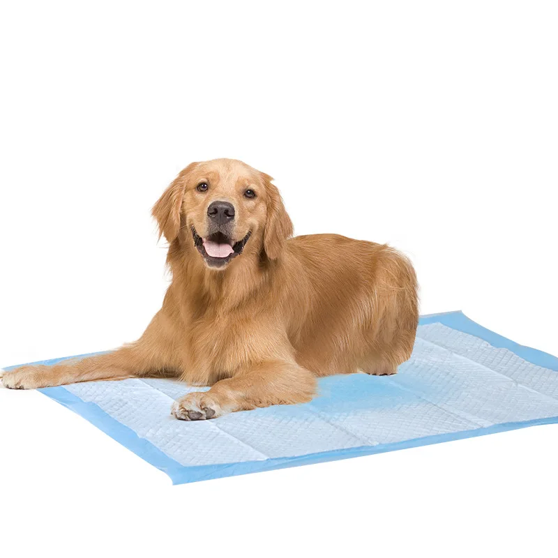 Hot-Selling Dog Disposable Diaper Super Absorbent Pee Pad Pet Diaper Training Mat Pet Peep Pad for Large Medium Dogs and Cats
Hot-Selling Dog Disposable Diaper Super Absorbent Pee Pad Pet Diaper Training Mat Pet Peep Pad for Large Medium Dogs and Cats