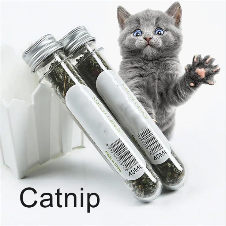 Portable Useful Catnip Hair Removal Ball Pet Cleaning Mouth Toys Cat Grass Snacks Cat Catnip
Portable Useful Catnip Hair Removal Ball Pet Cleaning Mouth Toys Cat Grass Snacks Cat Catnip