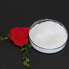 Nutrition Supplement Bulk BCAA Powder 2:1:1