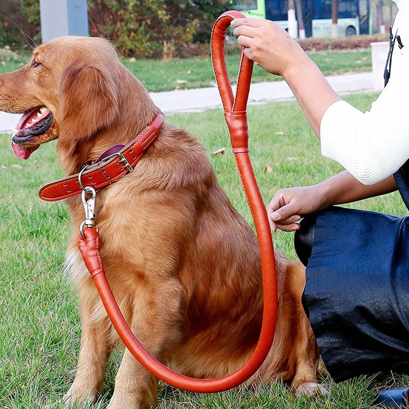 Adjustable Collar Set Walking PU Pet Dog Leather Collar And Leather Dog Leash Dog Collar And Leash Set
Adjustable Collar Set Walking PU Pet Dog Leather Collar And Leather Dog Leash Dog Collar And Leash Set