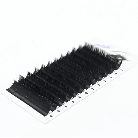 Classic Easy Fan Eyelash Extensions Professional Korean PBT Handmade Easy Fanning 0.03 0.07 Wholesale Vendor Samples Customizing
Classic Easy Fan Eyelash Extensions Professional Korean PBT Handmade Easy Fanning 0.03 0.07 Wholesale Vendor Samples Customizing