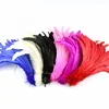 Wholesale cheapest Rooster tail feather 40-45cm thin long colourful rooster feathers for sale