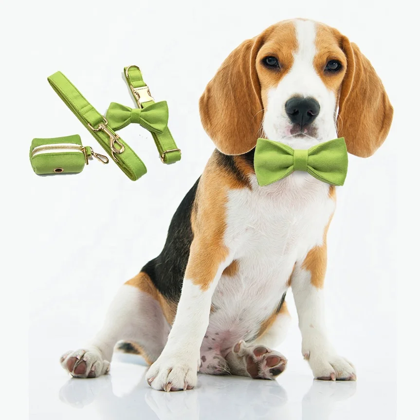 Dropshipping Green Velvet Dog Accessories Luxury Pet Poop Garbage Bag Garbage Dispenser Collar Para Mascota Cat Dog Pet Collars
Dropshipping Green Velvet Dog Accessories Luxury Pet Poop Garbage Bag Garbage Dispenser Collar Para Mascota Cat Dog Pet Collars