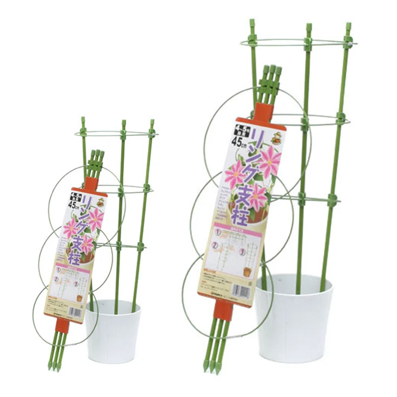 Indoor Garden Houseplants Pot Plant Leaf 3 ring garden plant support, Customized color
Indoor Garden Houseplants Pot Plant Leaf 3 ring garden plant support, Customized color