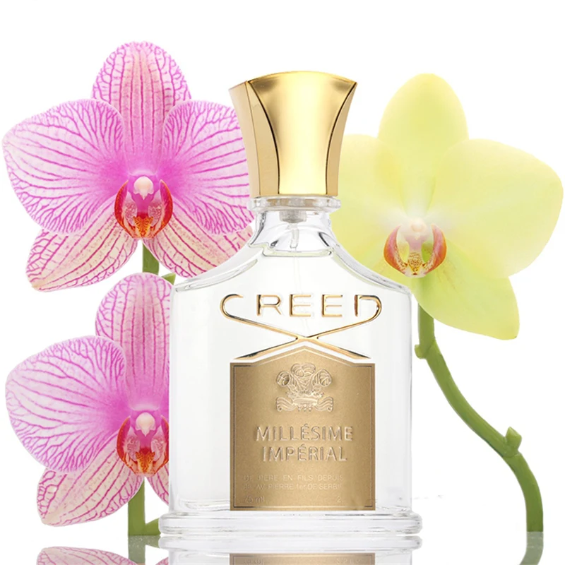 Creed Aventus For Lady Top Salone Perfume for Women With Long Lasting High Fragrance FS0370
Creed Aventus For Lady Top Salone Perfume for Women With Long Lasting High Fragrance FS0370