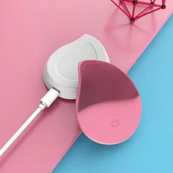 cleaning device