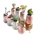 Color Pot Cute Pink Color Decoration Ceramic Plant Pot Succulent For Home