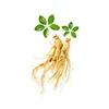 /product-detail/natural-panax-ginseng-sun-dried-chinese-herbal-white-ginseng-root-with-good-quality-50042912790.html