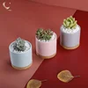 /product-detail/3inch-ceramic-pots-for-indoor-plants-mini-flower-pot-mini-plant-pot-62252057553.html