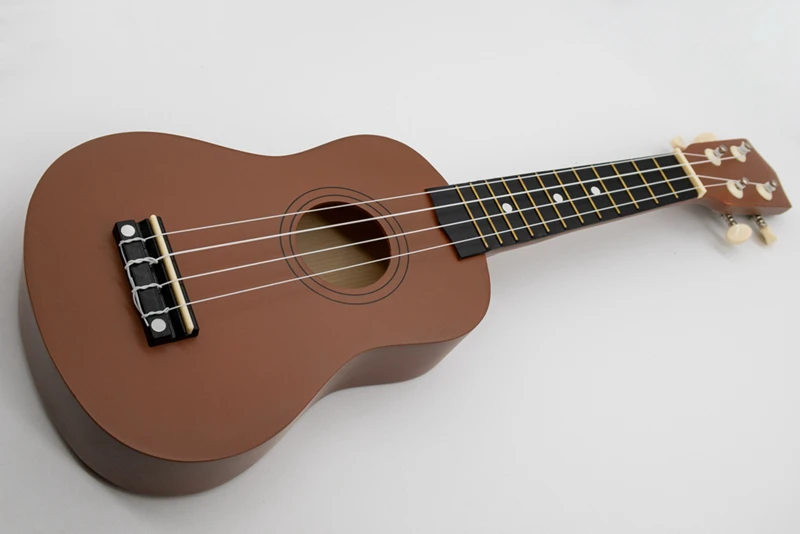 of guitar family, ukulele is a 4-stringed plucked instrument of