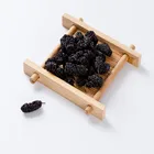 High-quality natural organic dried mulberry Mulberry fruit