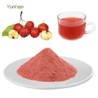 Concentrate Instant Hawthorn Fruit Berry Powder Hawthorn Powder
