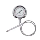 Factory Supply High Temperature Flexible Pressure Gauge