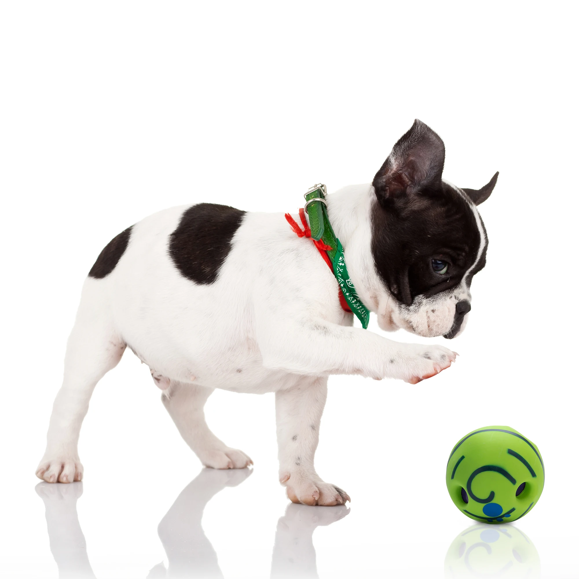 Funny Sound Dog Rolling Ball Pet Training Plastic Toy Chew Resistant Rubber Dog Play Ball
Funny Sound Dog Rolling Ball Pet Training Plastic Toy Chew Resistant Rubber Dog Play Ball