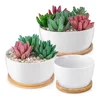 /product-detail/oem-cute-indoor-round-planteur-maceta-fioriera-plantenbak-pot-set-of-3-white-succulent-and-desert-planters-pot-with-bamboo-tray-62263046859.html