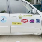 Custom Advertising Full Color Printing PVC Sticker