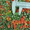 /product-detail/frozen-mixed-vegetable-carrot-green-pea-sweet-corn-1-1-1-62382708019.html