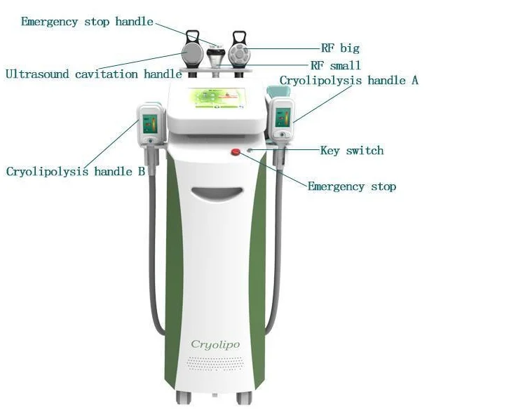 Wholesale Popular Cryolipolysis Slimming Machine Body Slimming Machine vacuum cavitation system body slimming machine For S
Wholesale Popular Cryolipolysis Slimming Machine Body Slimming Machine vacuum cavitation system body slimming machine For S