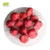 /product-detail/hot-sale-am-13-naturally-iqf-strawberry-frozen-in-europe-62356970919.html