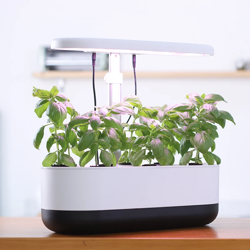 Oliz Z211 Smart garden home indoor fiberglass vegetable planters box artificial plant plastic self watering flower pot, White&black
Oliz Z211 Smart garden home indoor fiberglass vegetable planters box artificial plant plastic self watering flower pot, White&black