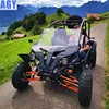 AGY hot on sale 2 person go kart