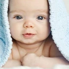 DNA Paternity test collect sample service organization