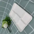 disposable dinnerware sets compostable plastic tableware substitutes 5-compartment food tray