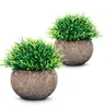 /product-detail/decorative-plastic-grass-mini-artificial-plants-for-decor-62097178250.html