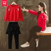 New design long sleeves 2pcs big sizes baby kids set boutique spring clothes for girls