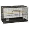 /product-detail/metal-bird-aviary-for-sale-large-bird-aviaries-62115233048.html