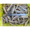 2019 New arrival new process small yellow croaker with good service