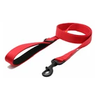 Wholesale Custom Heavy Duty Strong Buckle wholesale dog leash in Nylon
