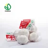 Low Price Garlic for Bangladesh/Sri Lanka (20kg/bag)