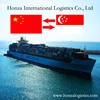 /product-detail/fcl-twenty-foot-container-cargo-service-with-cheap-price-from-shenzhen-to-singapore-62074603214.html