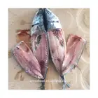 New stock 300-400g frozen mackerel fish for sale
