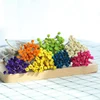 Hot sale China floral arrangement Dried mini small flowers happy flower
