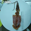 Frozen Squid Dried Squid Dryness Whole Round Illex