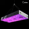 /product-detail/600w-1000w-full-spectrum-led-plant-lamp-be-replacing-hps-grow-light-better-for-indoor-vegetable-planting-62107253419.html