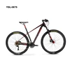 Made In China High Quality MTB Carbon Frame 29er Mountain Bike Mountain Bicycle