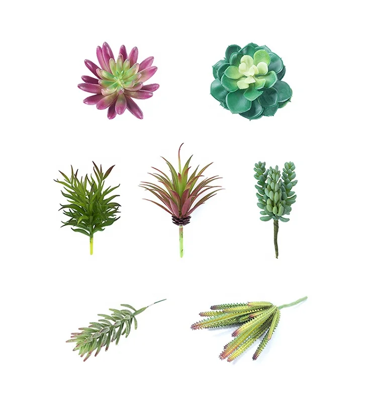 Wholesale Indoor Decorations 8 Packs Assorted Set Plastic Suculentas Artificiais
Wholesale Indoor Decorations 8 Packs Assorted Set Plastic Suculentas Artificiais