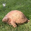 All kinds of places decoration soft stone sea turtle carving pictures