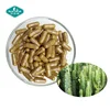 /product-detail/private-label-weight-loss-hoodia-gordonii-capsule-62095937410.html
