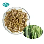 Private Label Weight Loss Pills Hoodia Gordonii Capsule