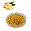 Food Spice Fresh Dehydrated dried water soluble organic yellow Ginger root Powder