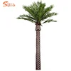 /product-detail/customized-large-8m-height-artificial-canary-algae-coconut-palm-tree-for-outdoor-decoration-62107001369.html