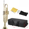 High Level Popular Style Best Quality Trumpet Professinal Factory Price Trumpet With Canvas Case